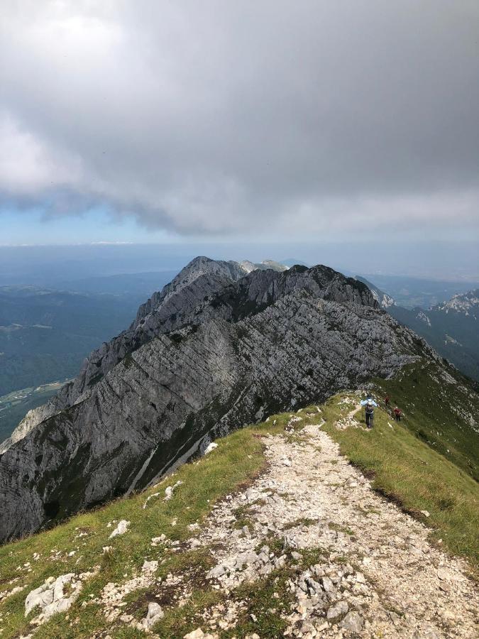 Pensiunea Aliart Zărneşti المظهر الخارجي الصورة