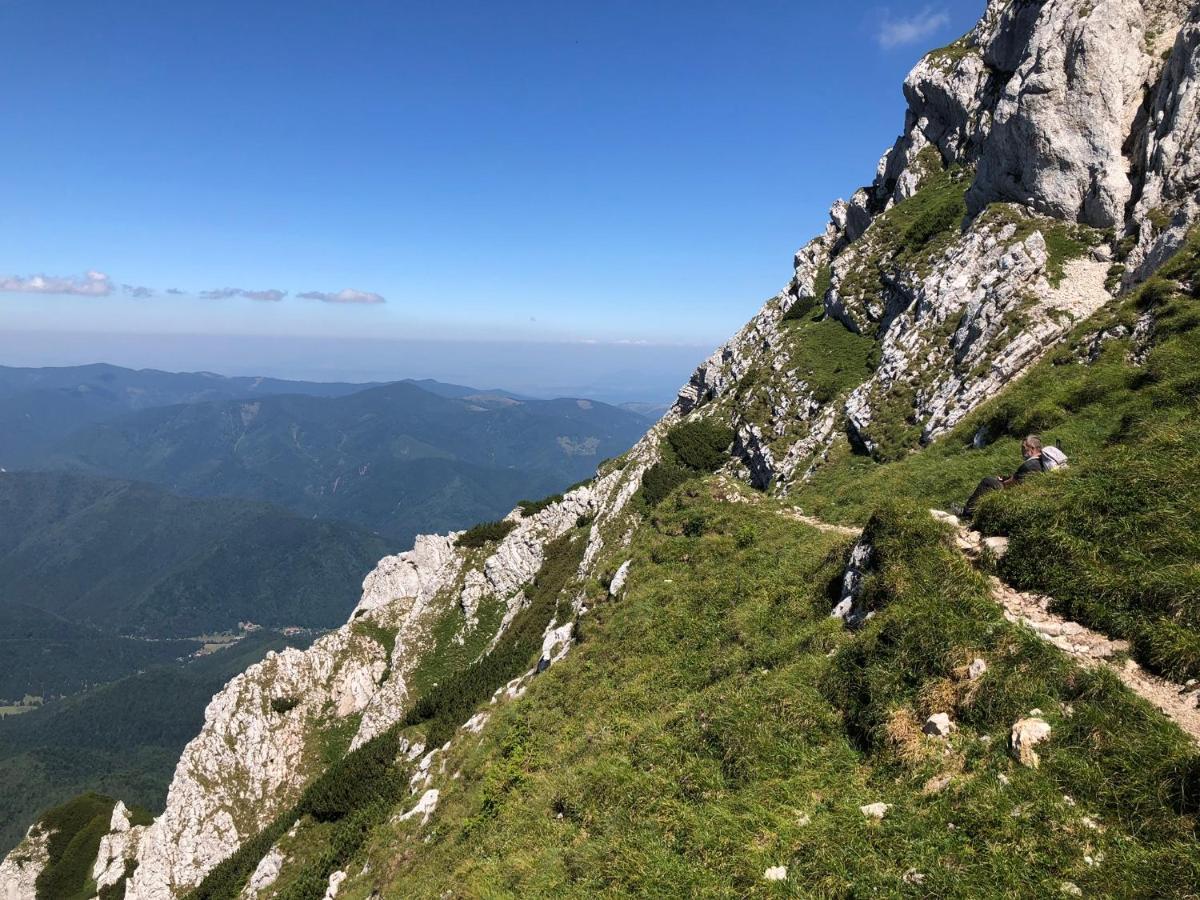 Pensiunea Aliart Zărneşti المظهر الخارجي الصورة